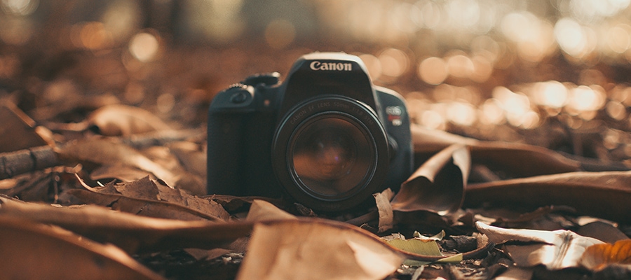 Canon