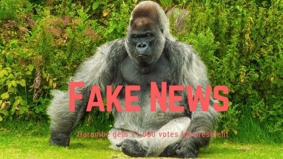 Fake News Story - Gorilla gets votes for President